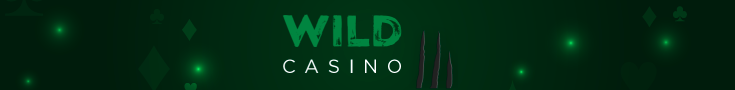 Wild Casino Header