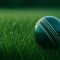Dew on Grass with Wet Cricket Ball