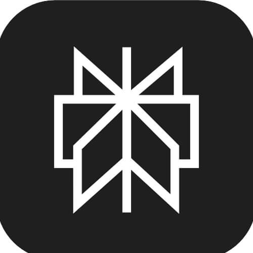 Perplexity Logo Square