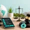 US Potentially Cracking Down on Offshore Betting Globe With Capital Building